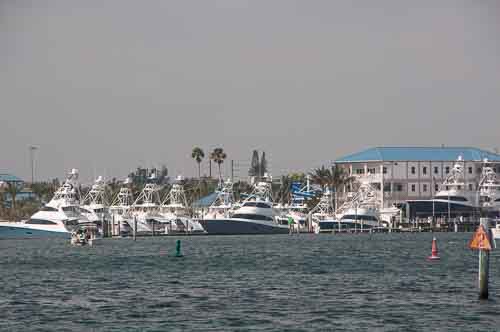 West palm