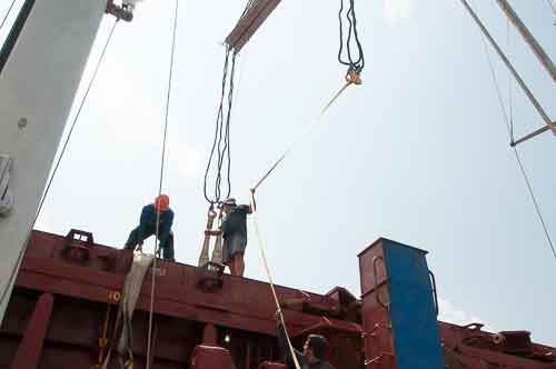 crane